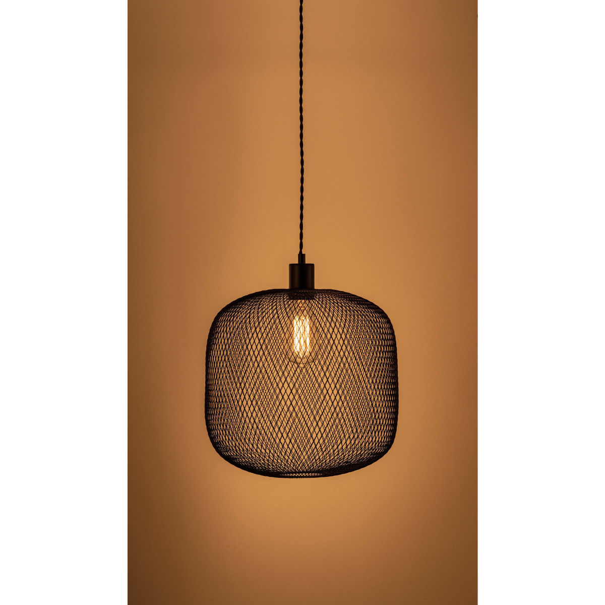 ペンダントライト スチール AZM-26BK