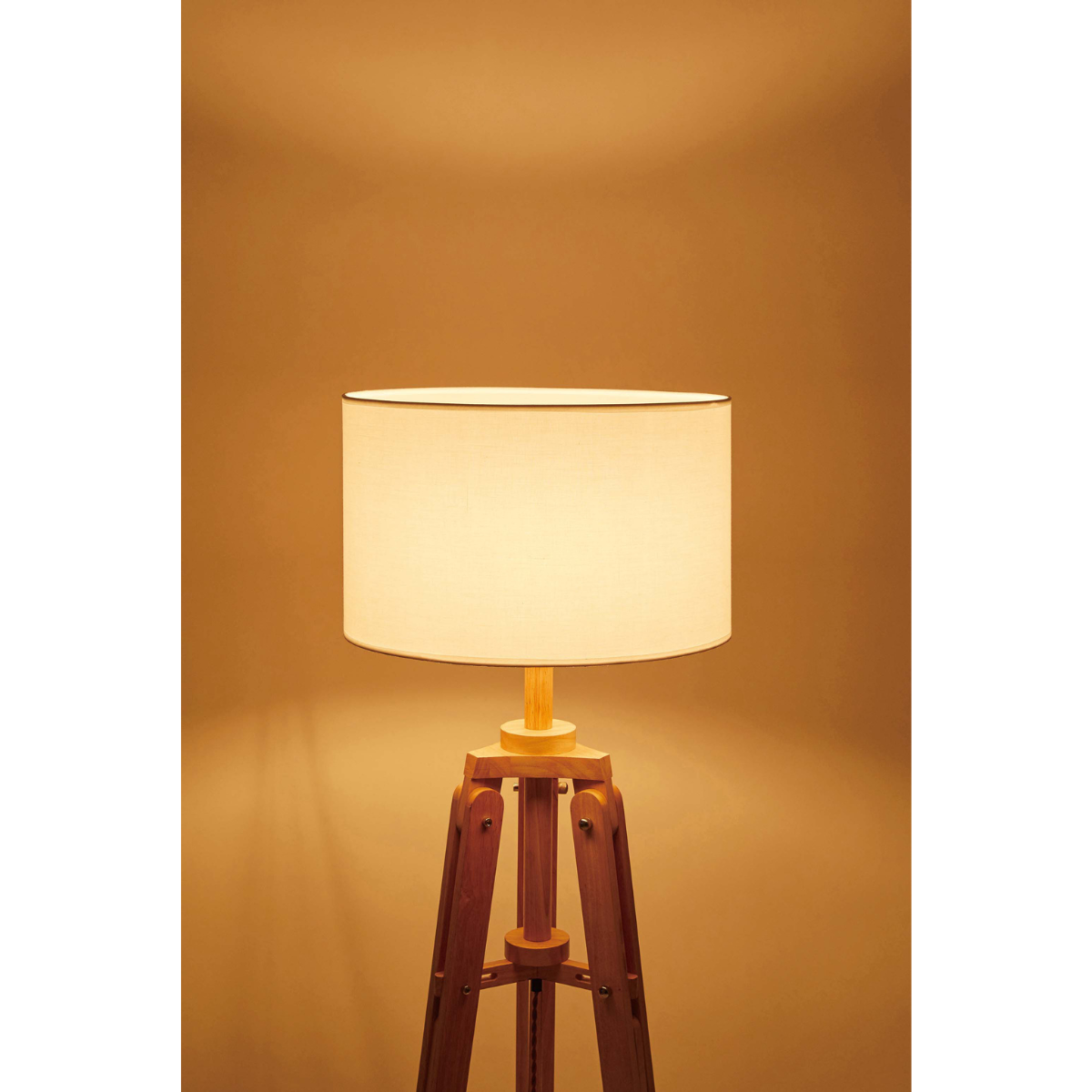 スタンドライトウッド AZM-40